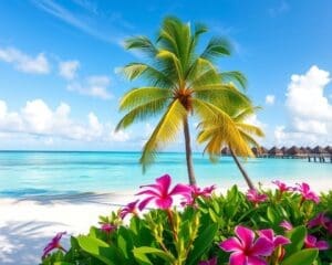 Geniet van een dag aan de stranden van Bora Bora