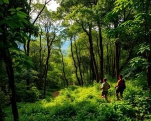 Geniet van een trektocht door de weelderige bossen van Oeganda