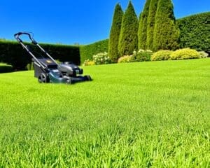 Grasmaaier: Voor een strak en netjes gazon