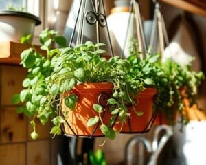 Hangende kruidenpotten met een decoratieve houder