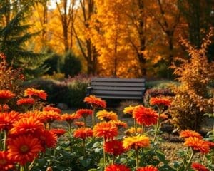Hoe maak je een gezellige tuin voor in de herfst?